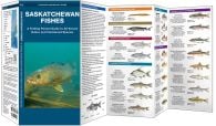 Saskatchewan Fishes (Pocket Naturalist® Guide)