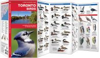 Toronto Birds (Pocket Naturalist® Guide)