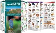 Cape Cod Seashore Life (Pocket Naturalist® Guide)
