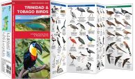 Trinidad & Tobago Birds (Pocket Naturalist® Guide)