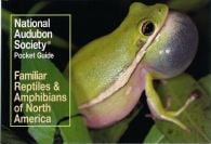 Familiar Reptiles & Amphibians of North America (National Audubon Society® Pocket Guide)