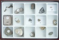 Fossils Over Time: Paleozoic (Specimen Collection)