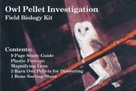 Barn Owl Pellet Kit (Individual Student)