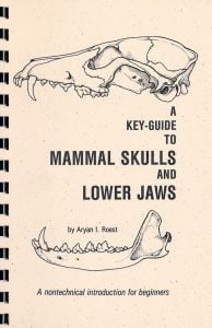 Key-Guide to Mammal Skulls and Lower Jaws (A): A Nontechnical Introduction for Beginners