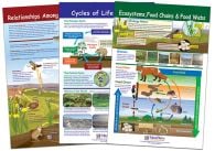 Ecology Chart Set (Three Charts)