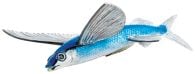 Flying Fish Model