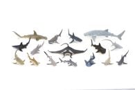 Sharks & Rays Model Collection (Discounted Set of 16 Models)