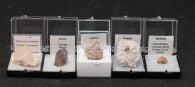 Mixed Mineral Specimens (Set of 5)