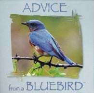 Advice From a Bluebird™ Wing Tips™ Greeting Card