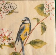 Early Bird Lunch Napkins