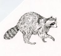Raccoon Rubber Stamp