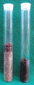 Soil Profile Tubes (Clear Plastic)