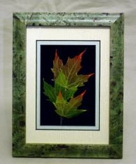 Sugar Maple Leaf Shadowbox Framed Art