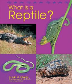 What Is A Reptile? (Animal Kingdom Series For Ages 5-6)