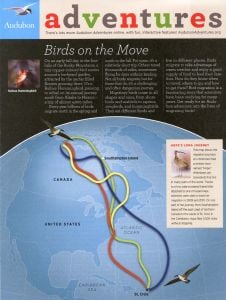 Birds Around Here and on the Move: Classroom Edition (Audubon Adventures®)