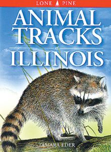 Animal Tracks: Illinois (Lone Pine Tracking Guide)