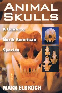 Animal Skulls, A Guide To North American Species