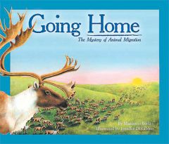 Going Home: The Mystery Of Animal Migration