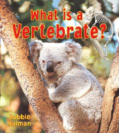 What Is A Vertebrate? (Big Science Ideas Series)