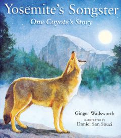 Yosemite'S Songster: One Coyote'S Story