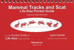 Mammal Tracks And Scat