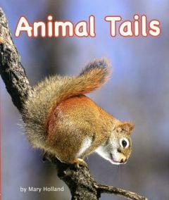 Animal Tails (Animal Senses & Anatomy Series) 