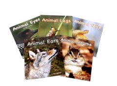 Animal Senses & Anatomy Series Collection (Discounted Set of 5 Titles)