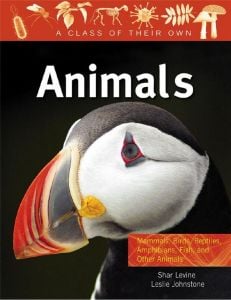 Animals (A Class of their Own Series)
