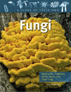 Fungi (A Class of their Own Series)