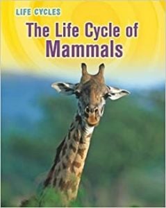 Life Cycle of Mammals, The (Animal Class Life Cycle Series)