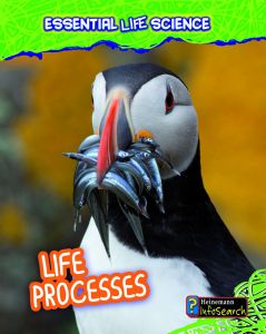Life Processes (Essential Life Science Series)