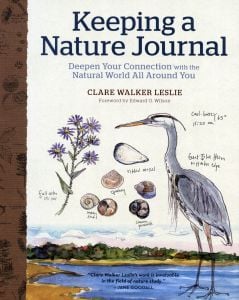 Keeping a Nature Journal, 3rd Edition: Deepen Your Connection with the Natural World All Around You