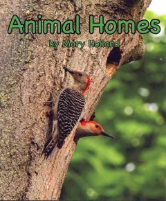 Animal Homes (Animal Anatomy & Adaptations Series) 
