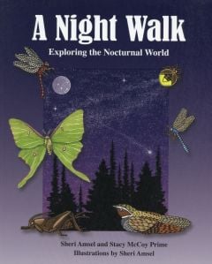 Night Walk (A): Exploring the Nocturnal World