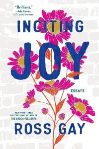 Inciting Joy, Essays