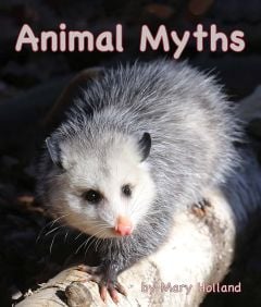 Animal Myths  (Animal Anatomy & Adaptations Series)