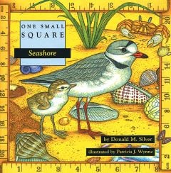 Seashore (One Small Square Series)