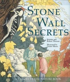 Stone Wall Secrets