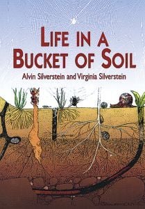 Life In A Bucket Of Soil