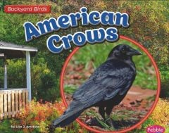 American Crows (Backyard Bird Series)