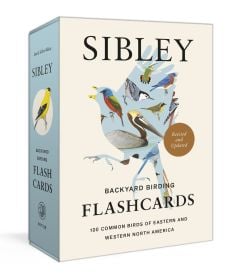 Sibley Backyard Birding Flashcards, 2nd Edition: 100 Common Birds of Eastern and Western North America