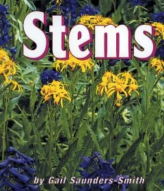 Stems (Flowering Plant Life Cycles Series)