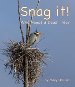 Snag It: Who Needs a Dead Tree?