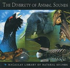Diversity Of Animal Sounds, The (Cd)