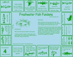 Freshwater Fish (Fundana® Bandana)