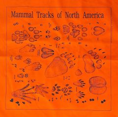 Animal Track Scarf: Orange (Acorn Naturalists' Identification Bandana)