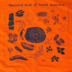 Original Bison Design Animal Scat Scarf: Orange