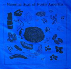 Original Bison Design Animal Scat Scarf: Royal Blue