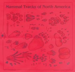 Red Track Scarf (Acorn Naturalists' Identification Bandana)