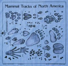 Chambray (Denim Blue) Track Scarf (Acorn Naturalists' Identification Bandana)